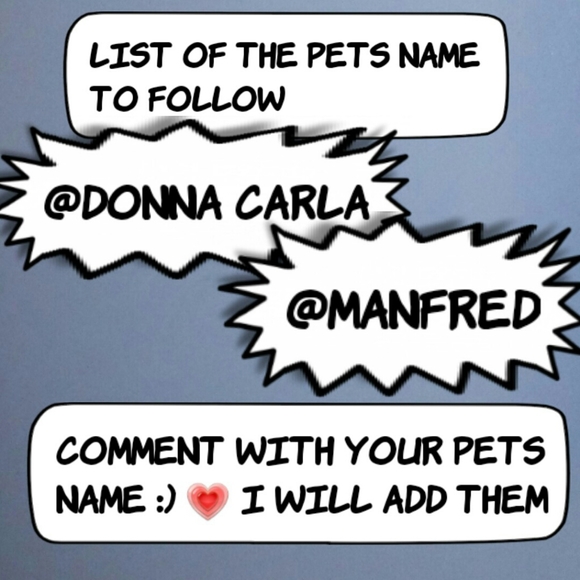 FOLLOW THE NAMES GAME! - Picture 4 of 6